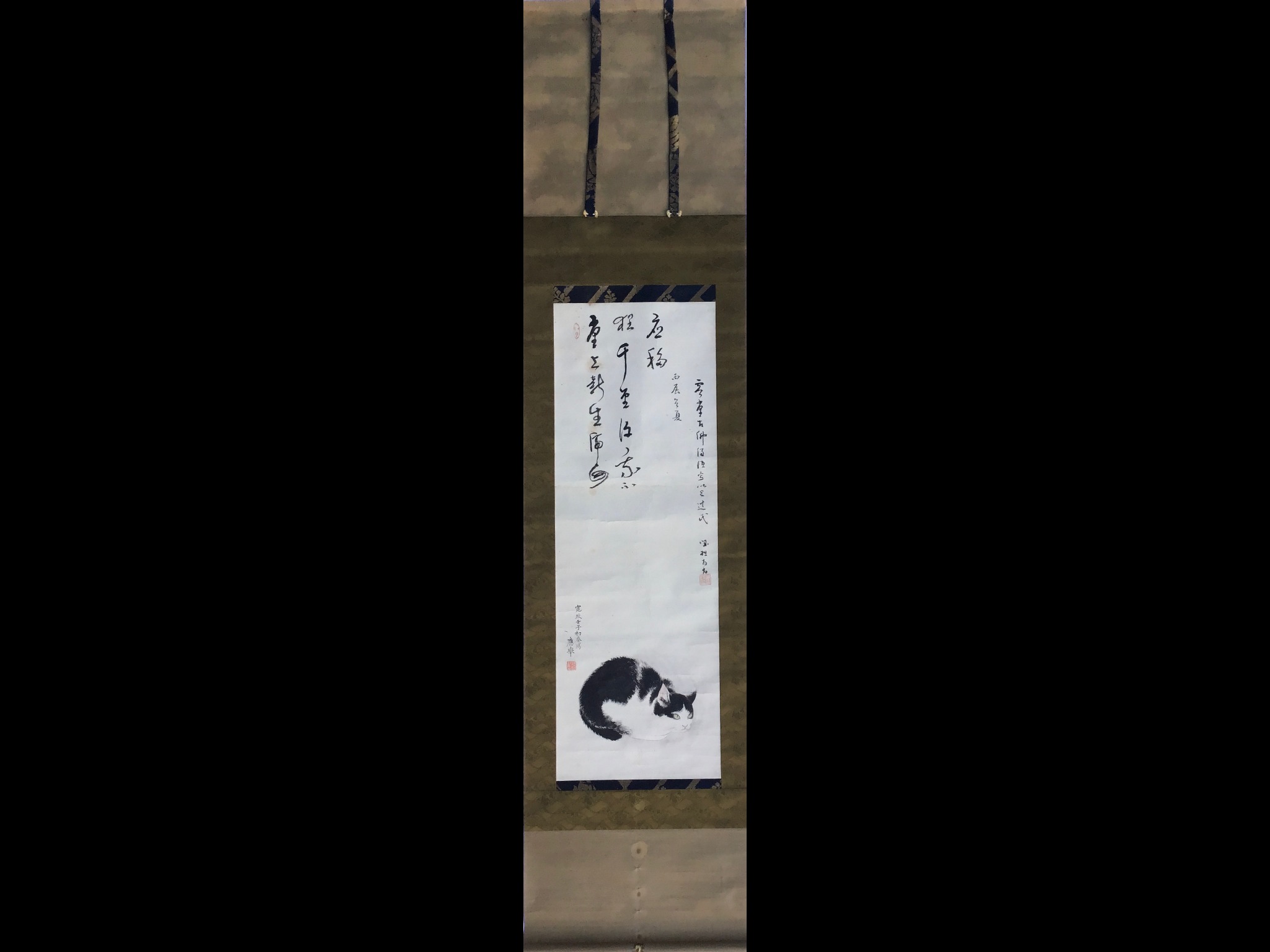 円山応挙 画 / 誠拙周樗 讃 “猫図” Maruyama ōkyo / Seisetsu Shucho 